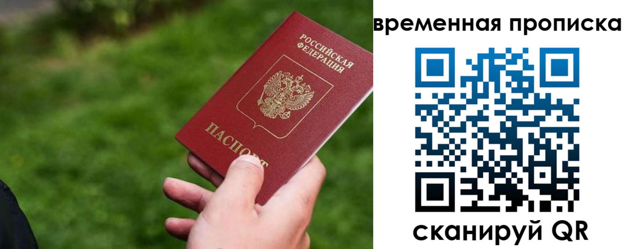 прописка 2025 в Красноармейске